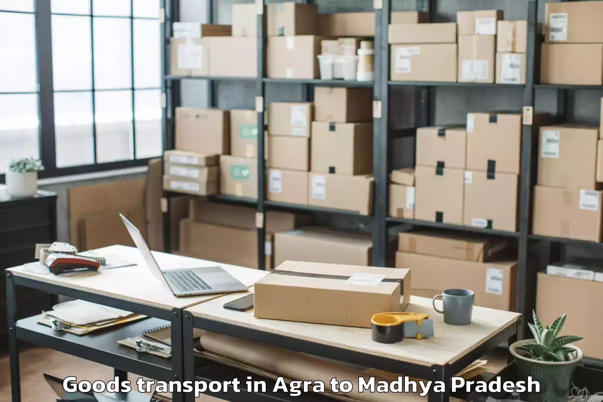 Book Your Agra to Badnagar Goods Transport Today